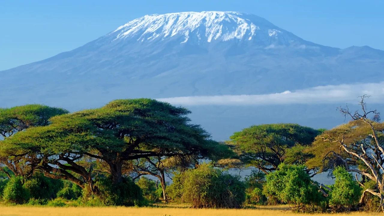 kilimanjaro on african savannah