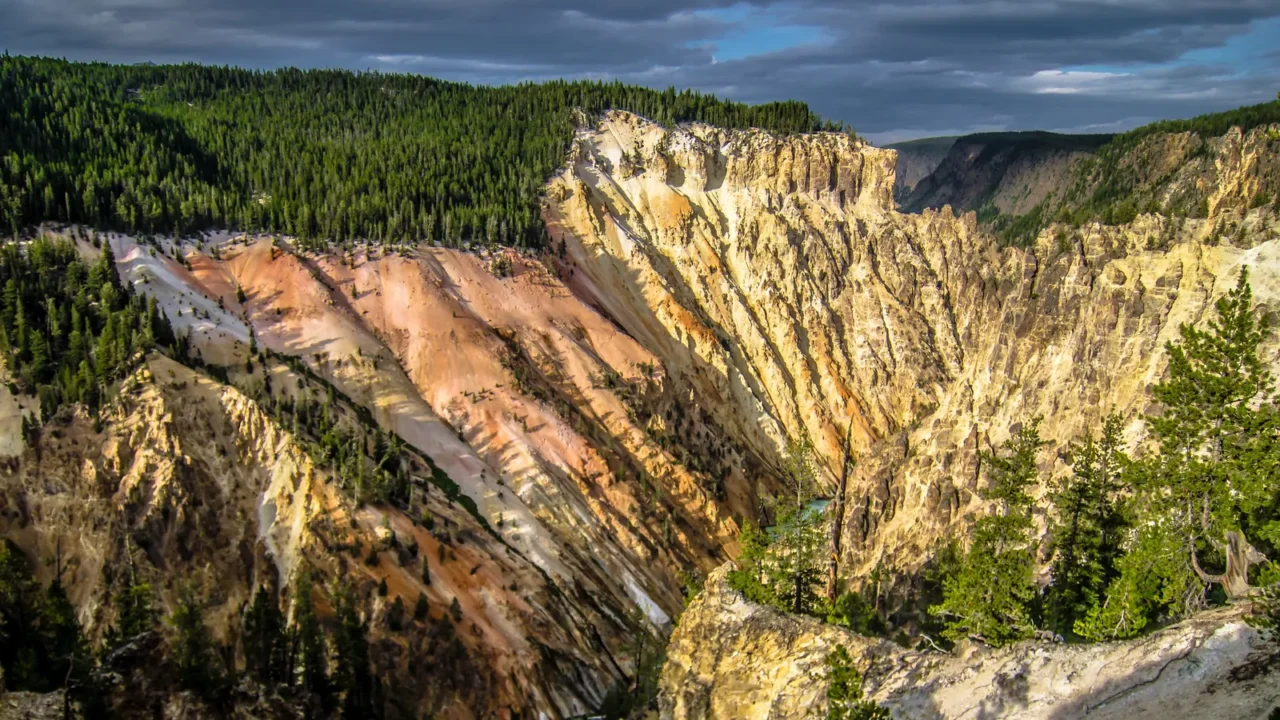 lower falls of the yellowstone national park from artist point