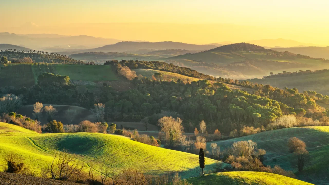 maremma rural sunrise landscape forest and green field tuscan