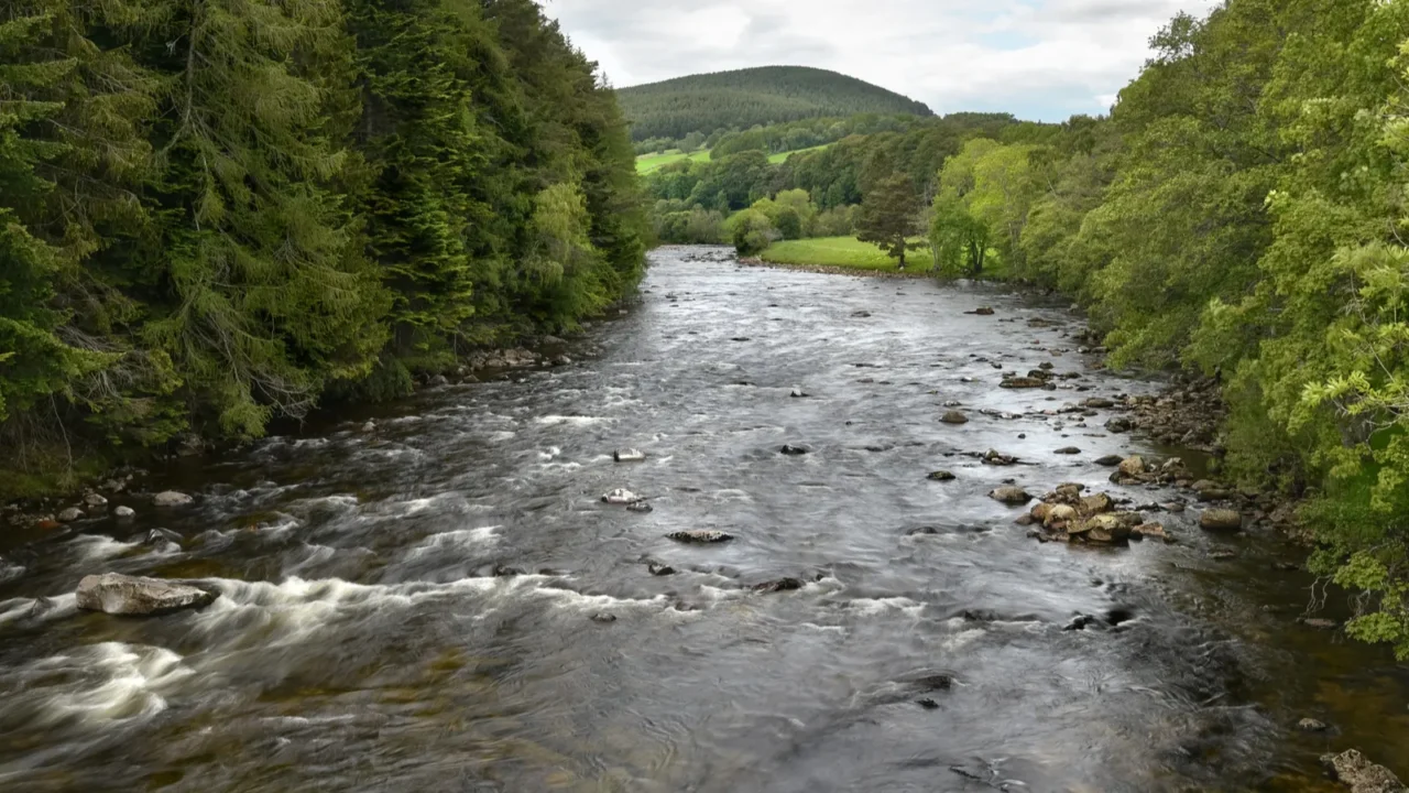 mountain river flowing through an green wooded valley on a