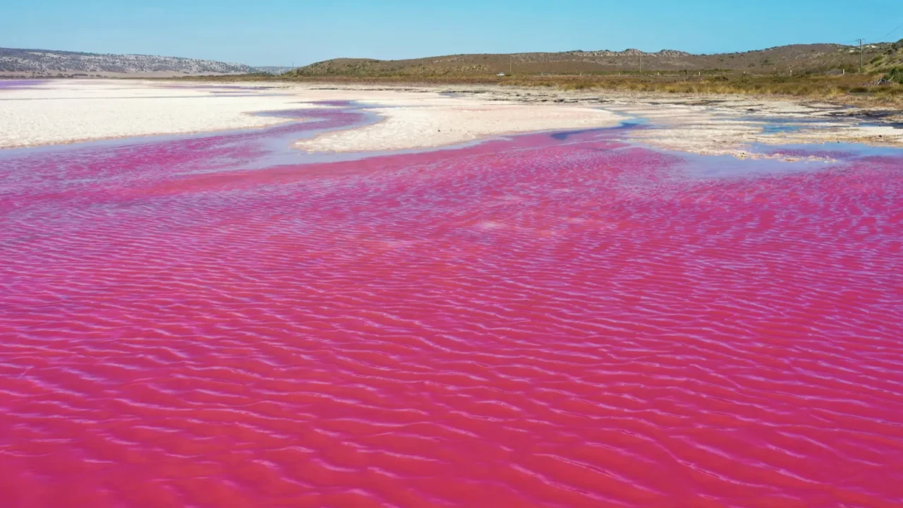 pink salt lake western australia landscape view