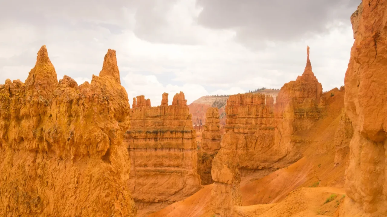 sandstone sculptures after the rain in bryce canyon