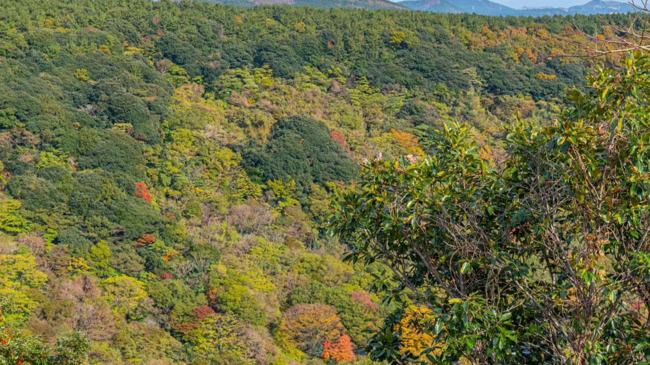 sangumburi crater at jeju island republic of korea
