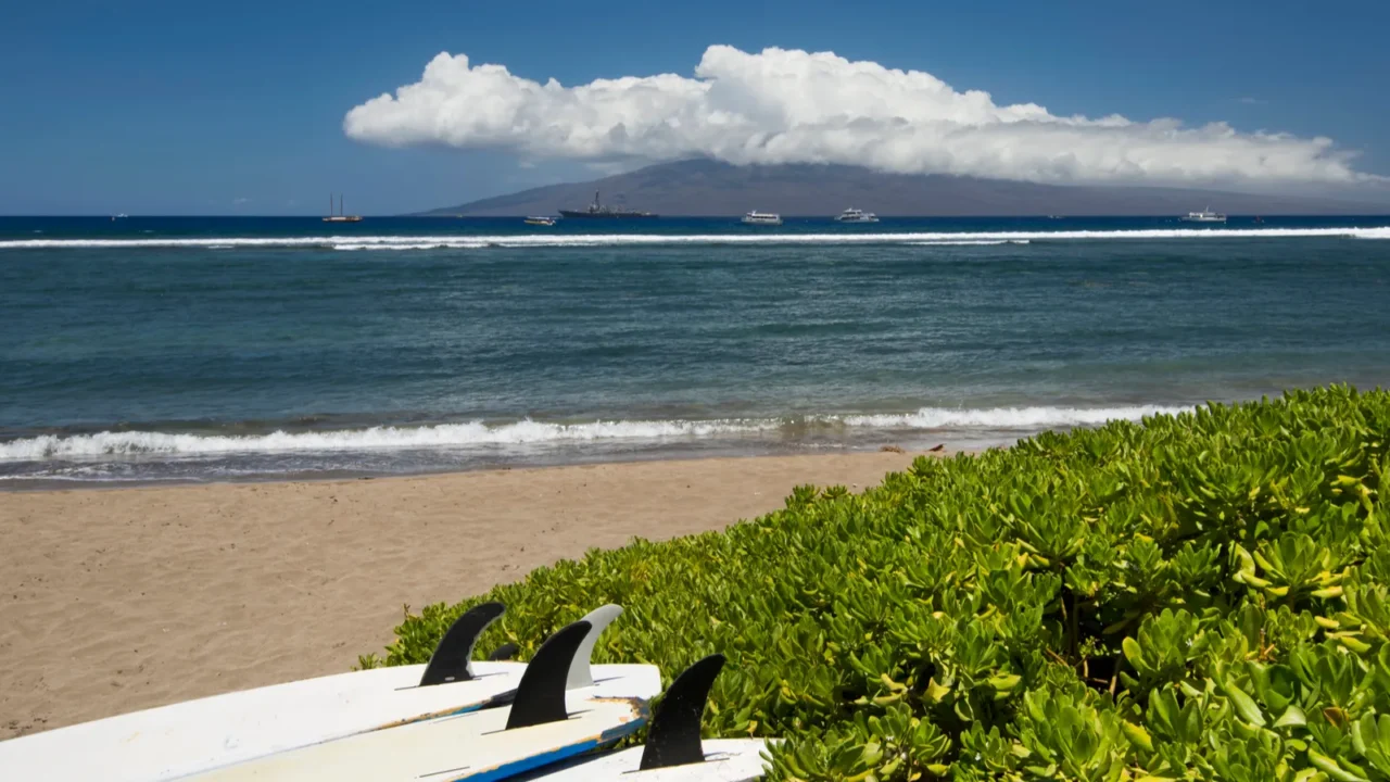surf boards lying on beach with the island of lanai