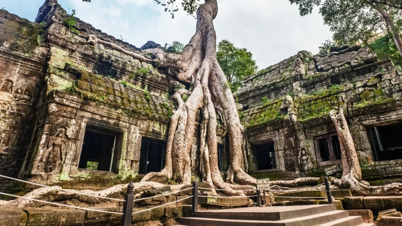 ta prohm temple angkor cambodia