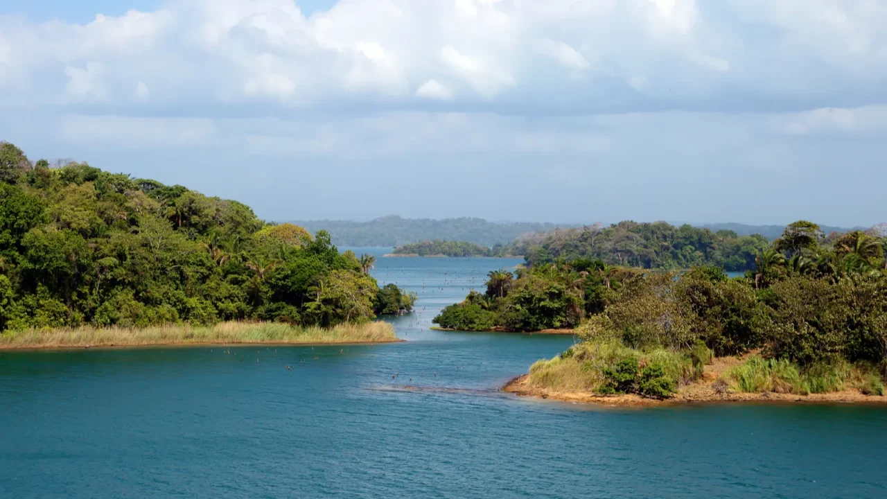 the panama canal banks of the panama canalthe panama