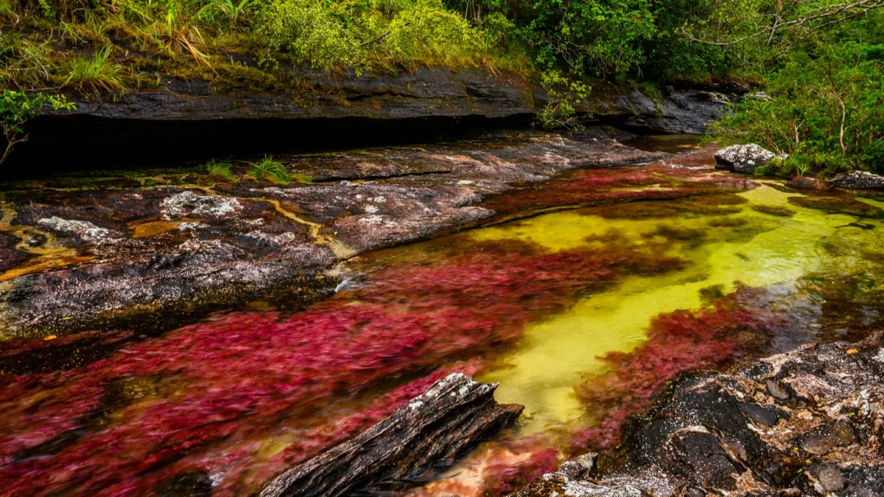 the rainbow river or five colors river is in colombia