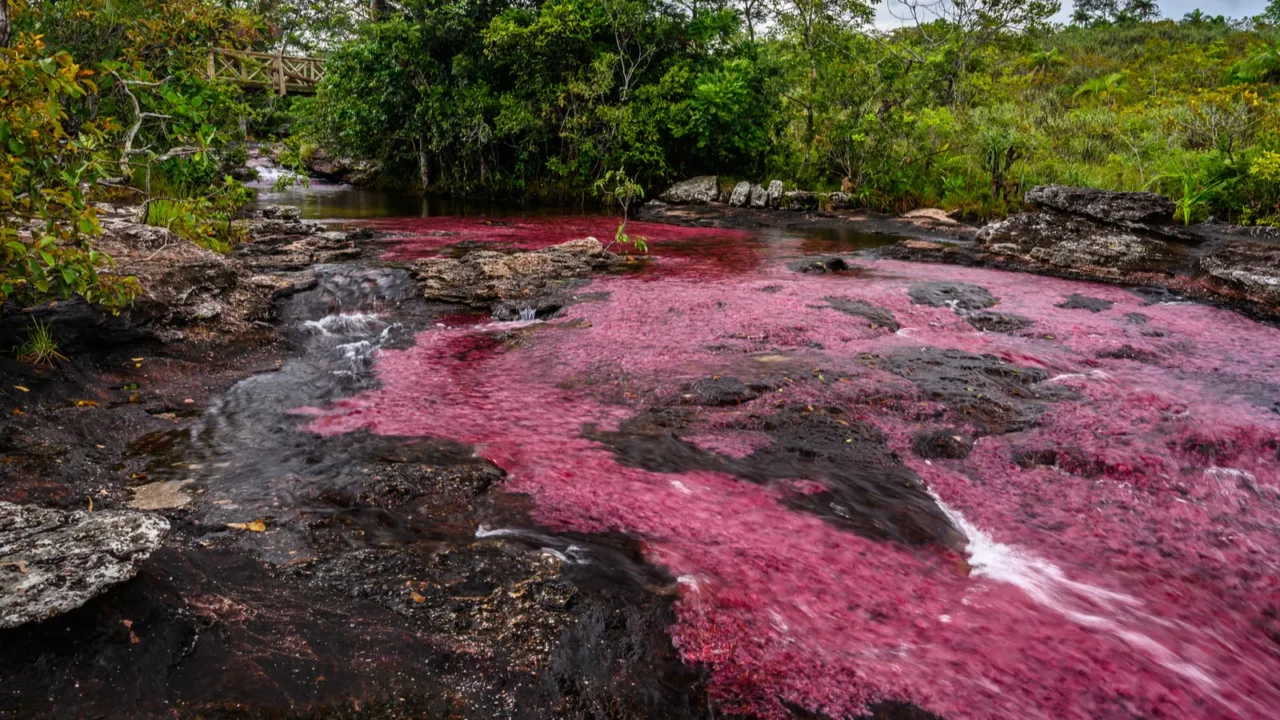 the rainbow river or five colors river is in colombia