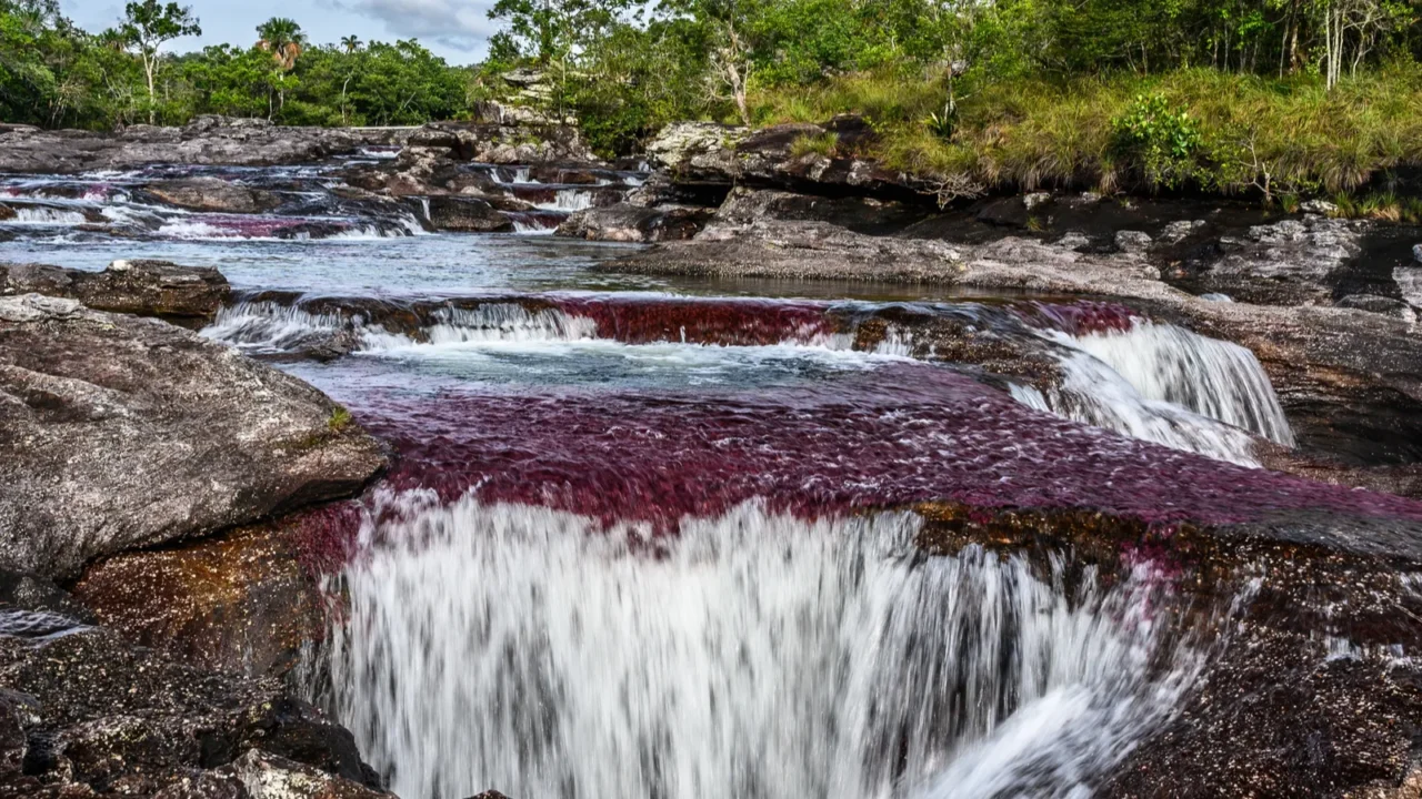 the rainbow river or five colors river is in colombia