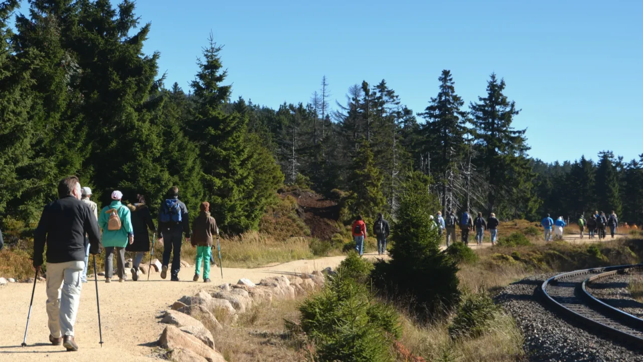 trail to the summit of the brocken
