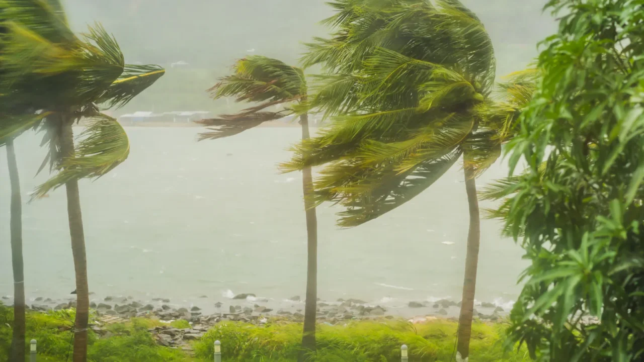 tropical storm heavy rain and high winds in tropical climates