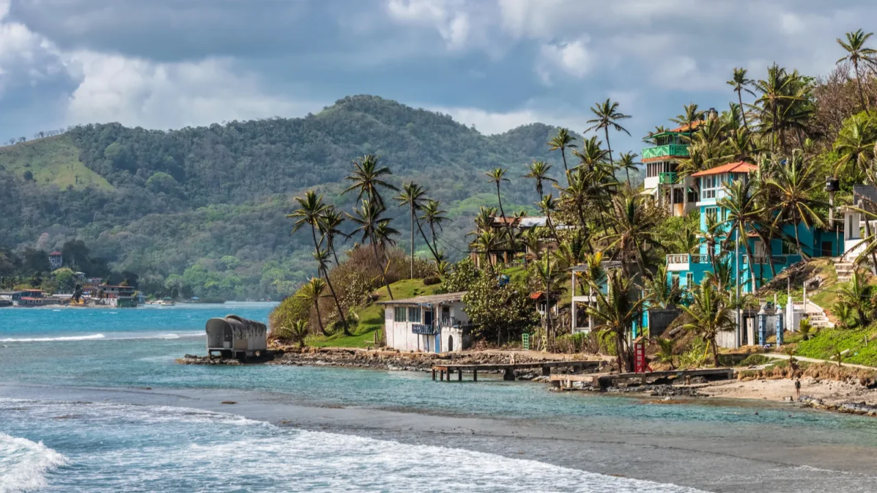 view at palm trees sea and houses in isla grande