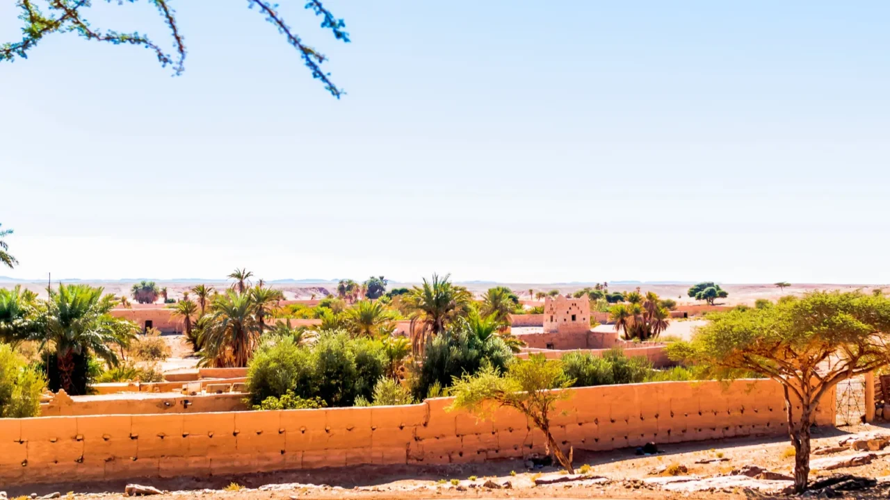 view on oasis in the sahara desert of morocco