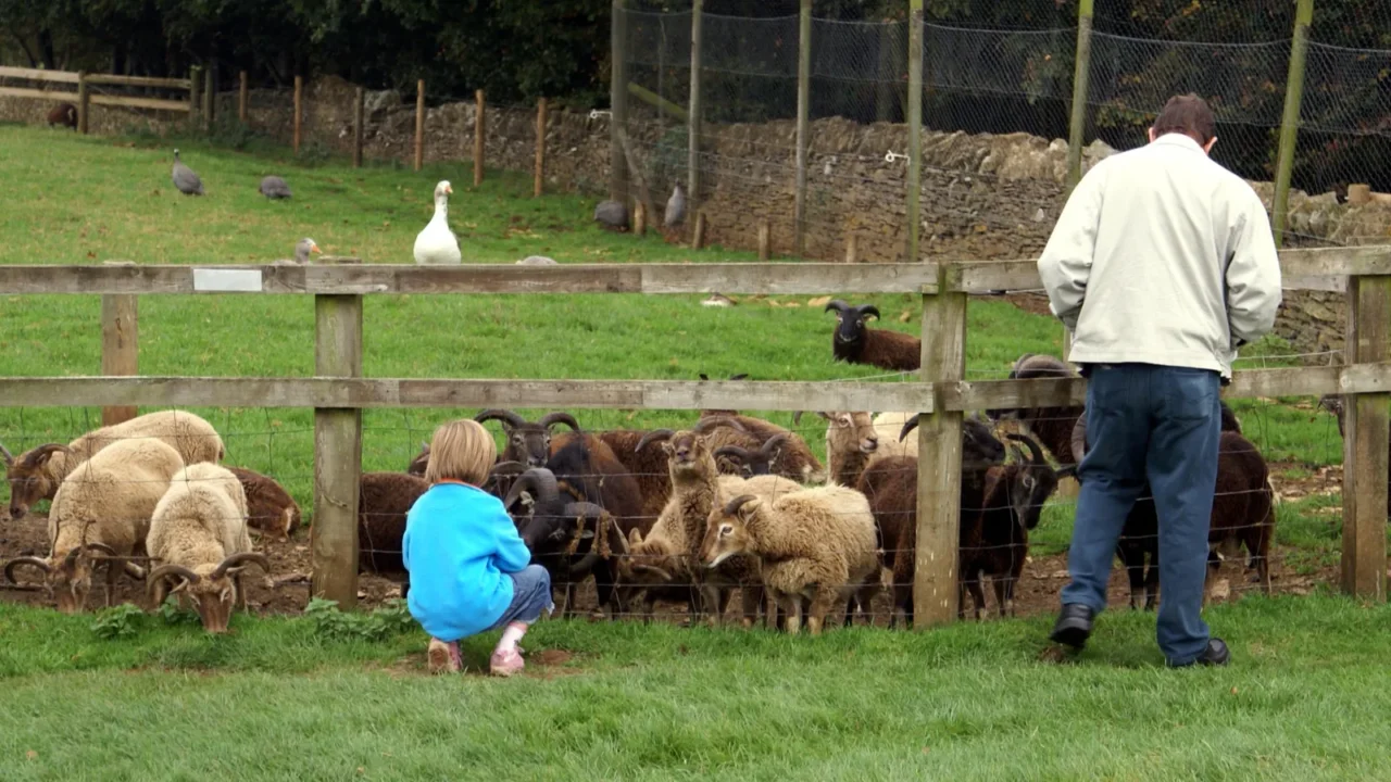 visitors in a farm