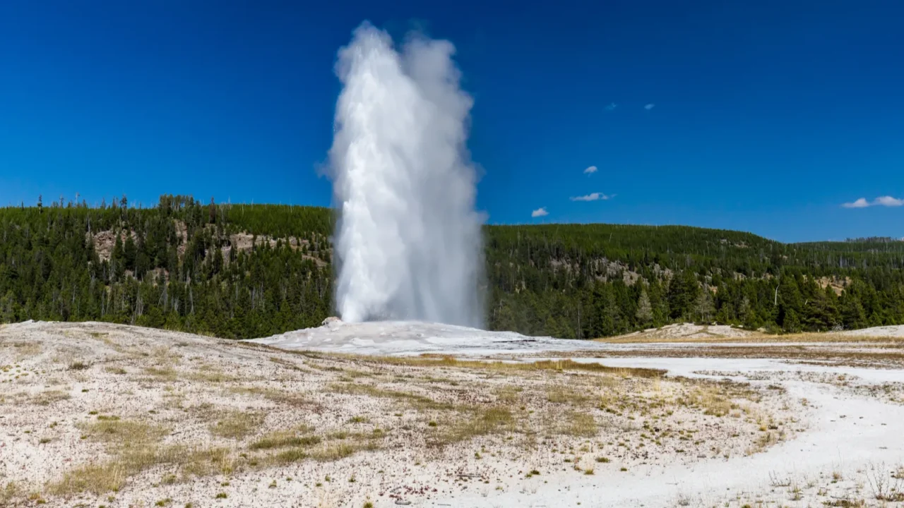Old Faithful Geyser in Yellowstone National Park, USA.