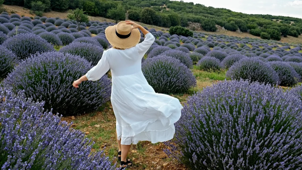 young woman wearing white dress and broad brim straw hat