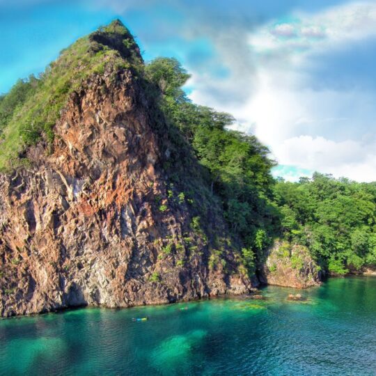 Dominica builds eco-tourism momentum with new whale sanctuary and waterfall trails