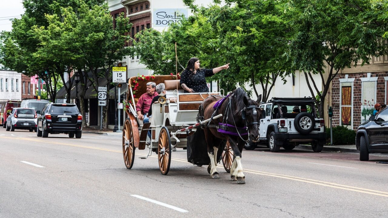 CHATTANOOGA, TN, USA-9 MAY 2021: Horse and buggy tour of Chattanooga.