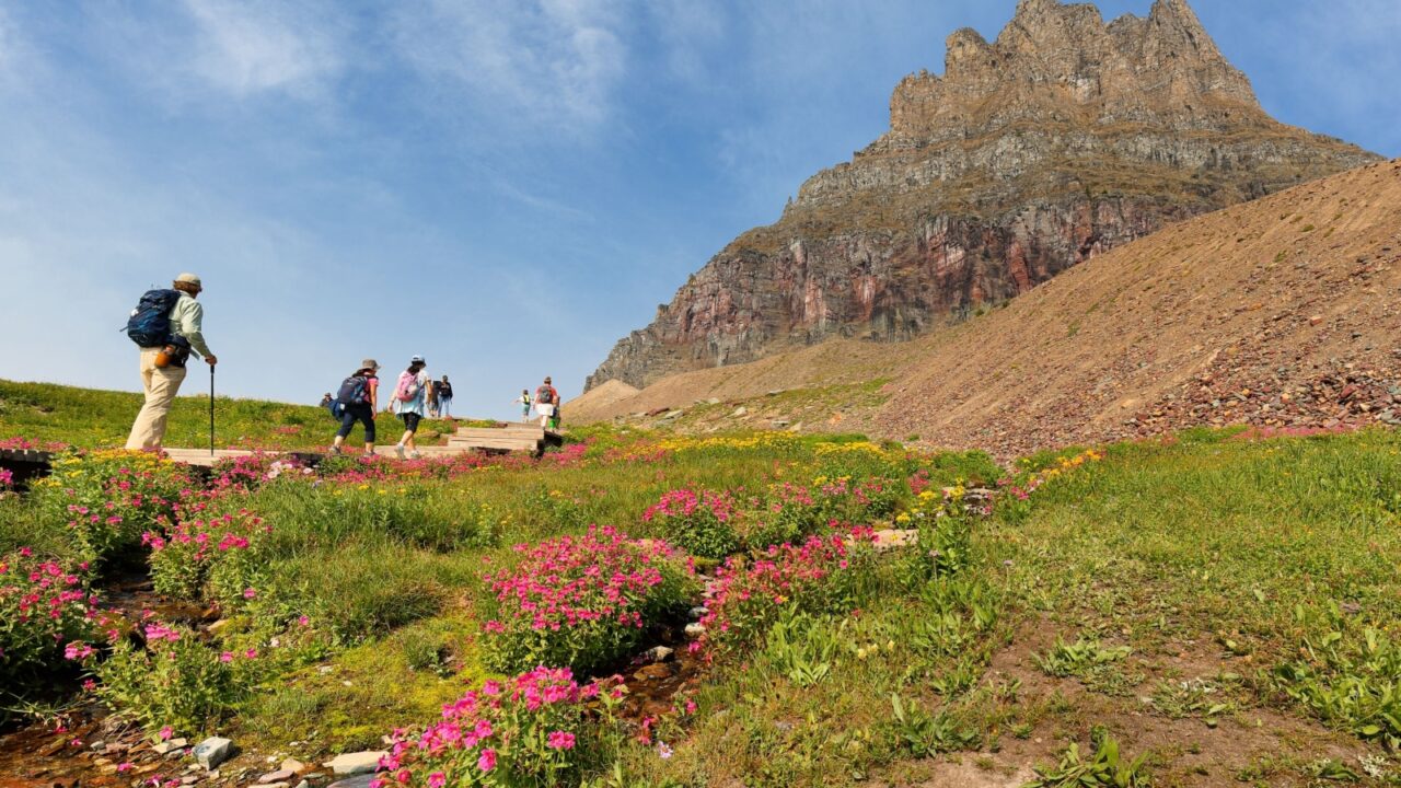 Glacier Park, Montana - August 5, 2021: Overview of Logan Pass with tourist walking . Logan Pass is located along the Continental Divide in Glacier National Park, in the U.S. state of Montana
