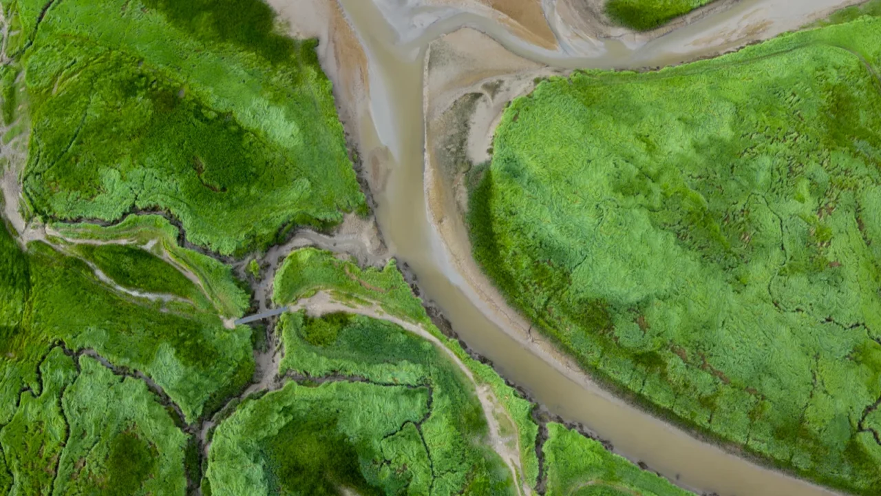 aerial view of tidal channels and gullies saeftinge the netherlands