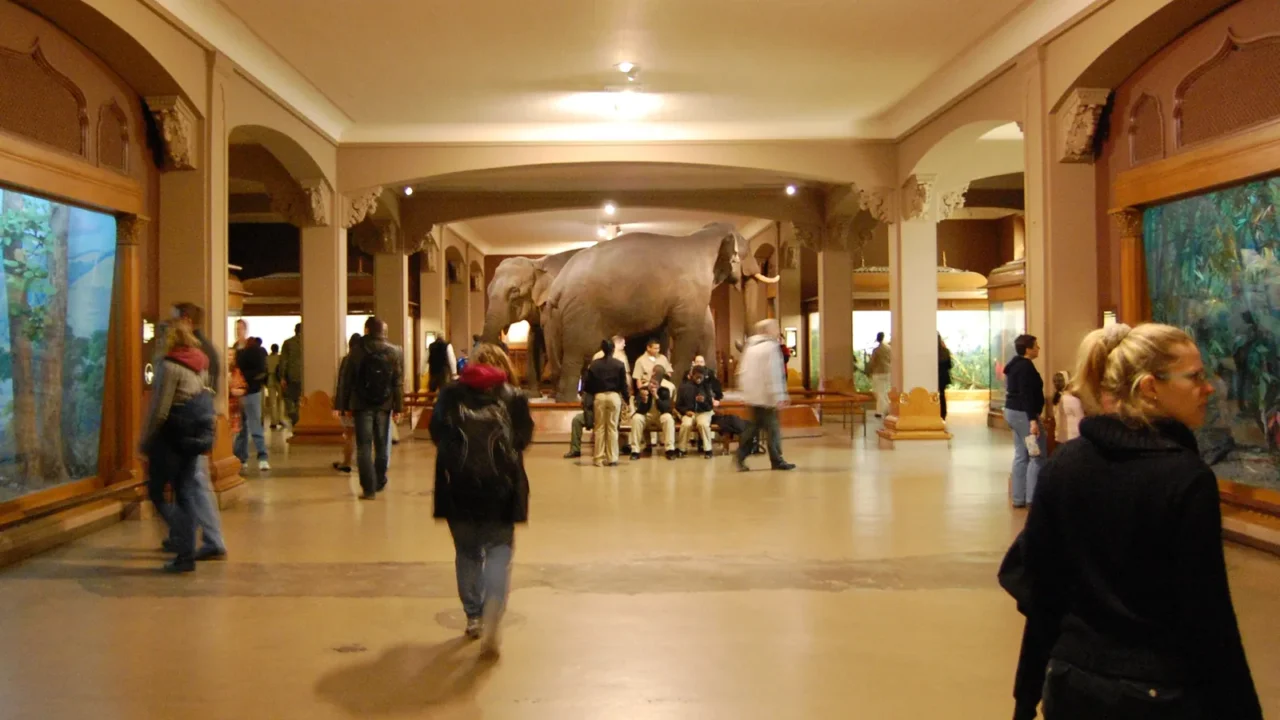 american museum of natural history in new york minerals meteorits