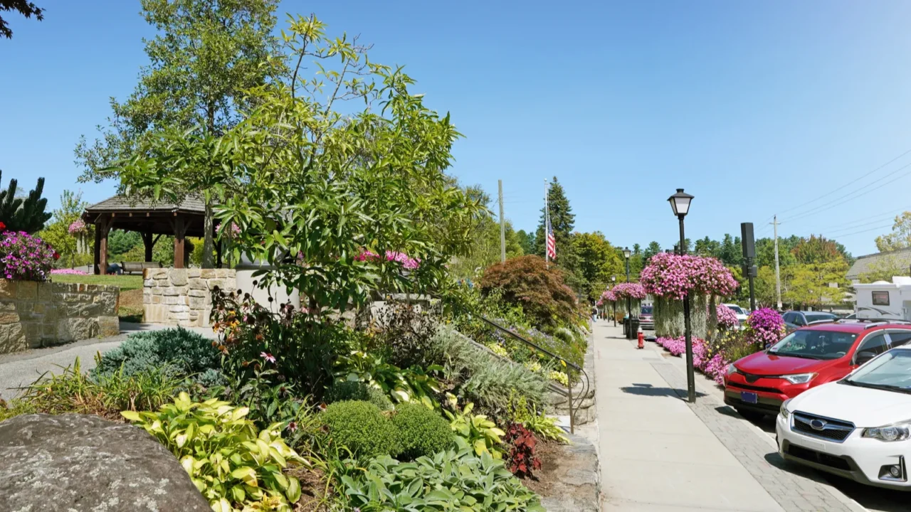 beautiful blooming flowers in historic downtown blowing rock  nc