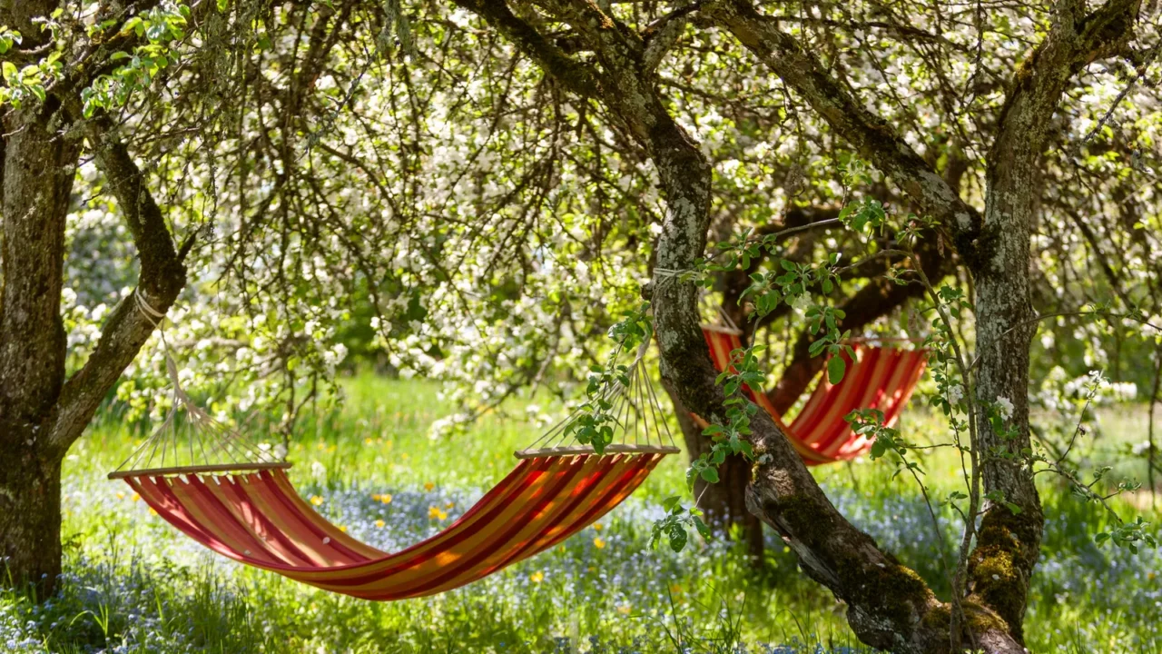 beautiful landscape with two red hammocks in the spring