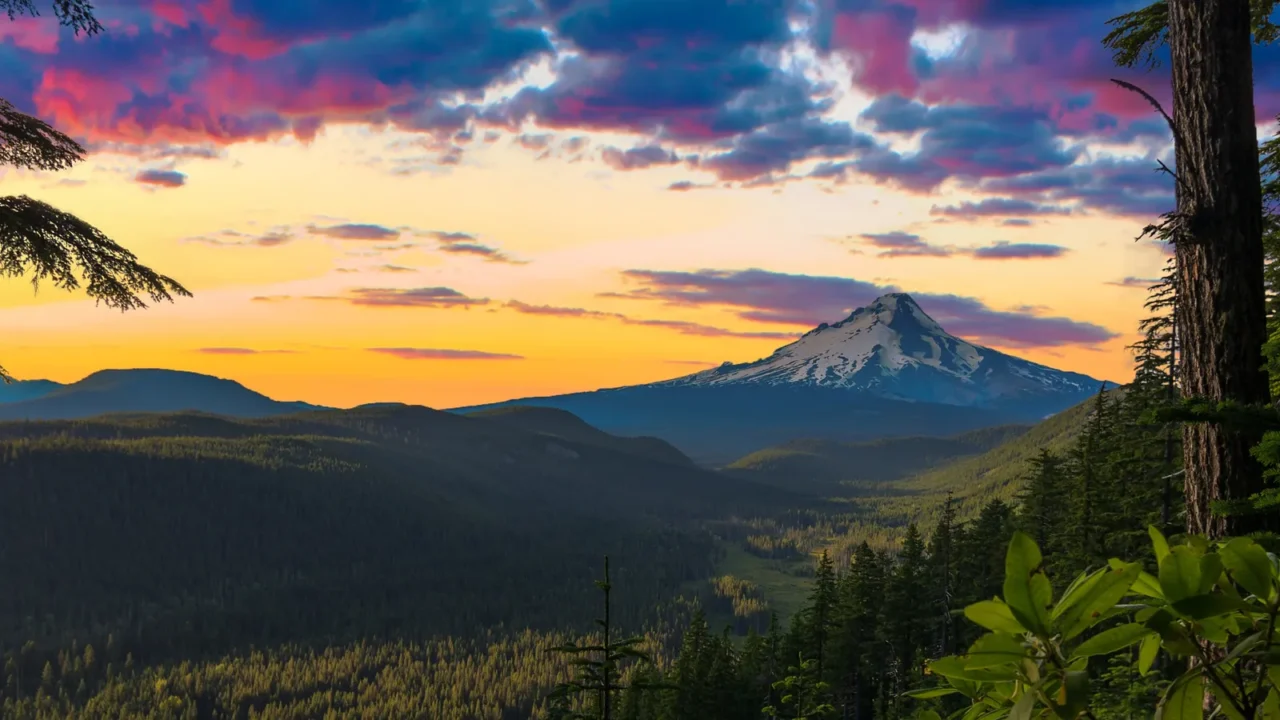 beautiful vista of mount hood in oregon usa