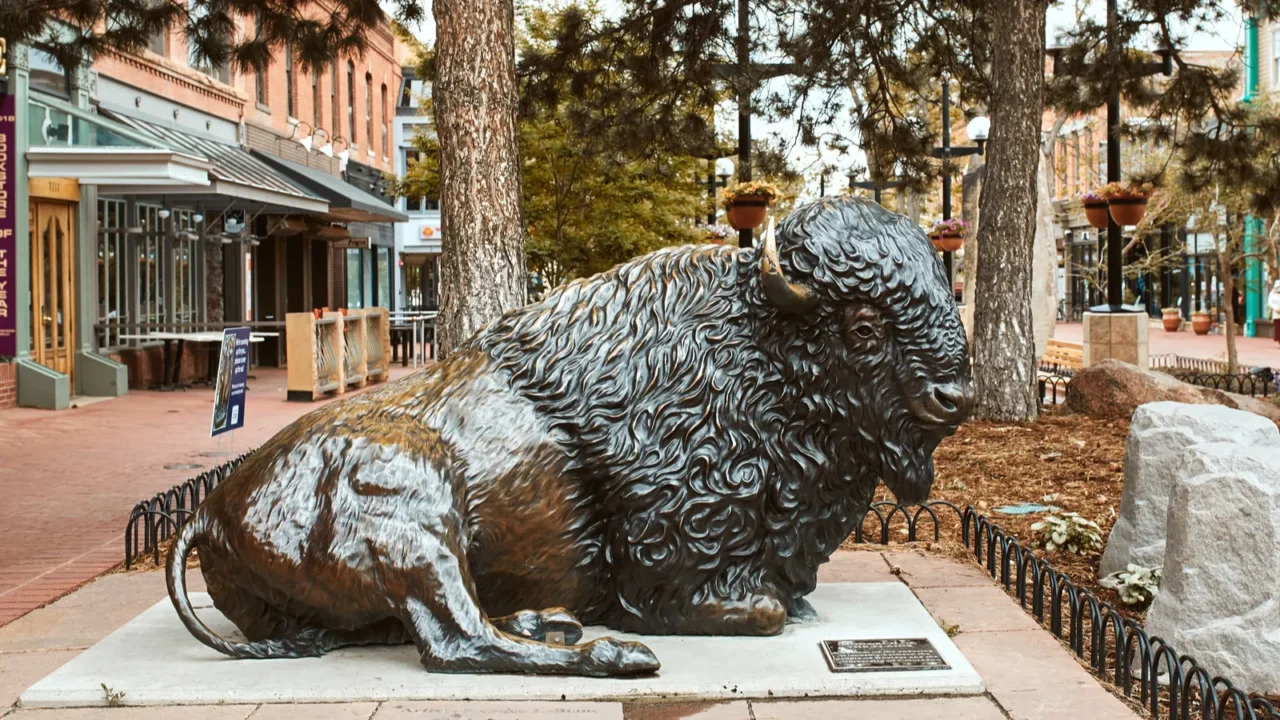 boulder colorado  may 27th 2020 bronze buffalo statue