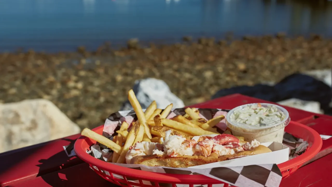 eating traditional maine lobster roll with coleslaw and french fries
