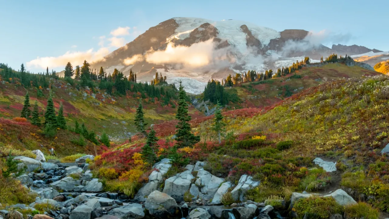 edith creek with mt rainier in fall