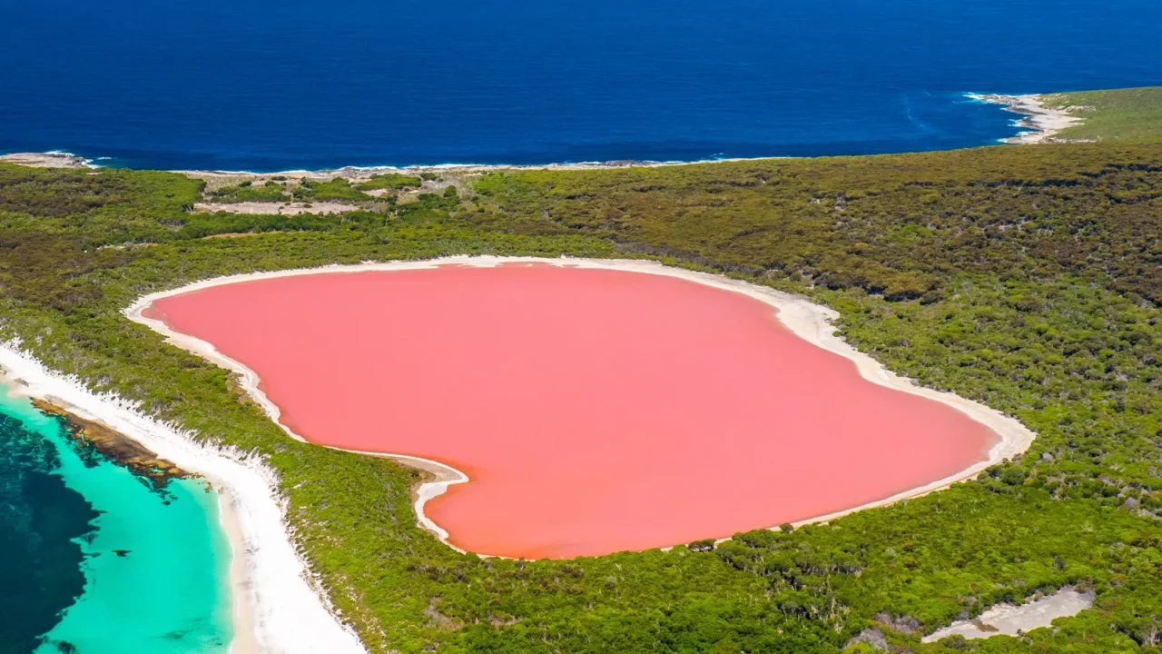 flying over the pink lake lake hillier near esperance in