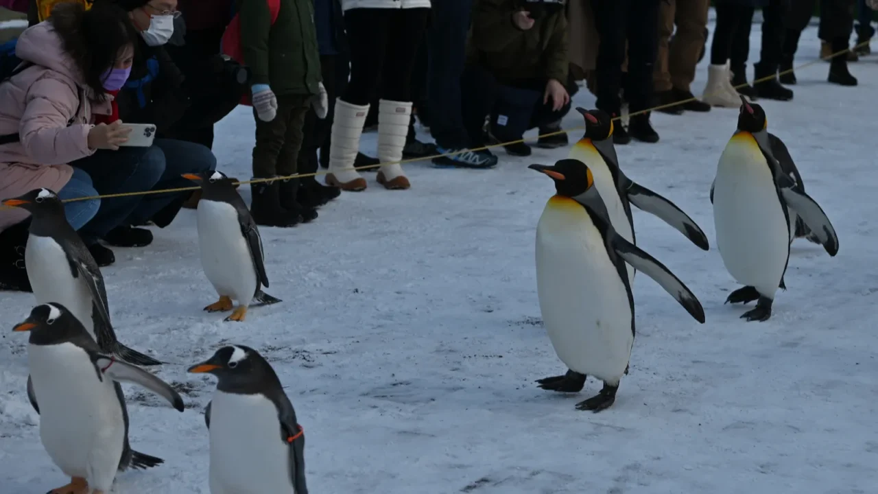 furano japan december 19 2022 furano and biei during