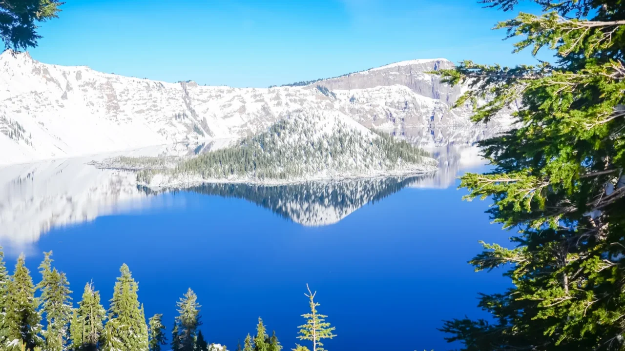 green pine tree lush and reflection of snowcap mountain with