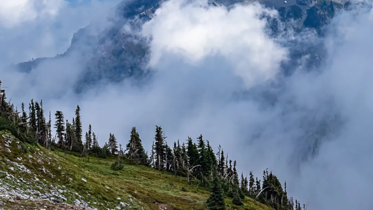 majestic view of moutain peaks through clouds and fog