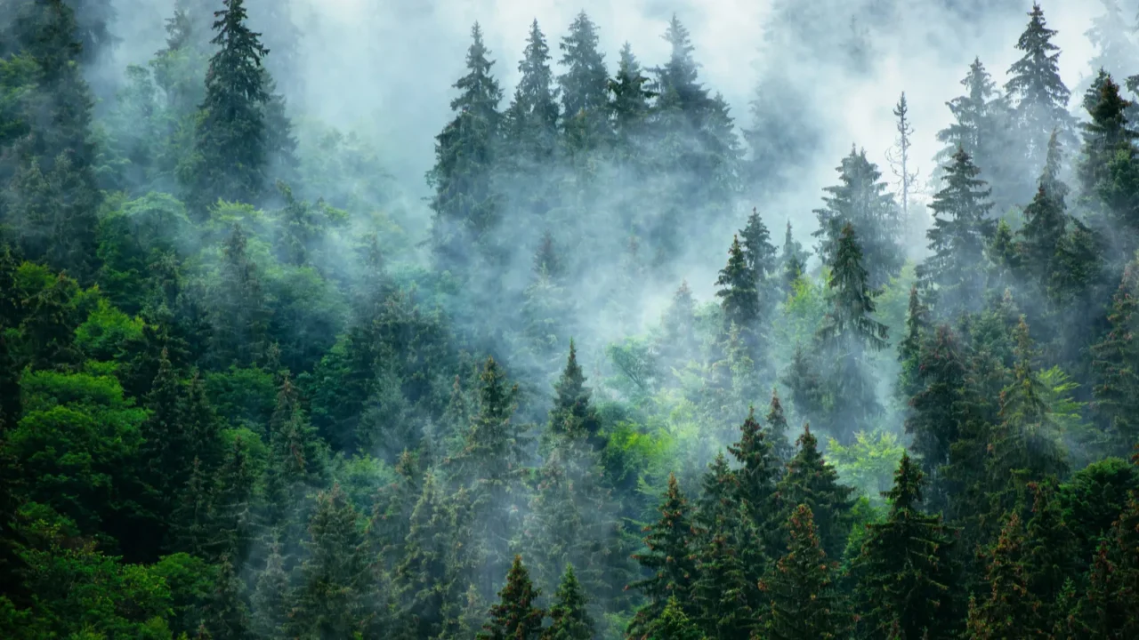 misty mountain landscape
