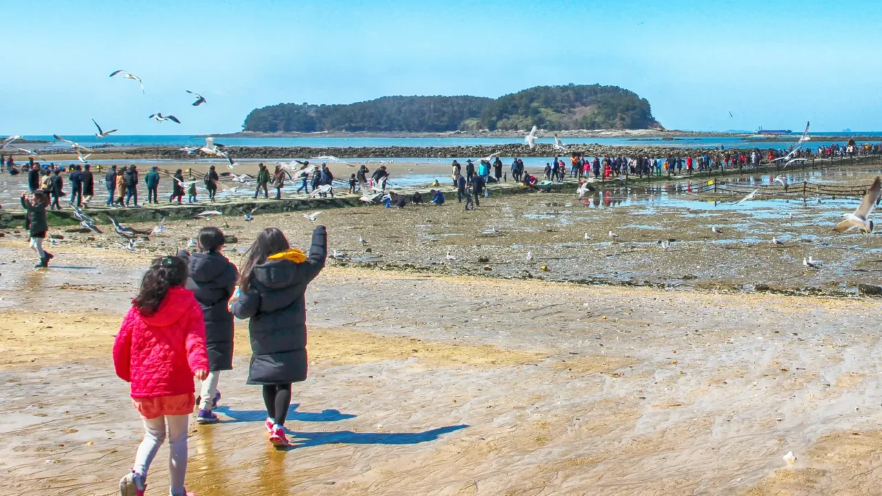 muchangpo myterious sea route boryeong chungnam south korea asia