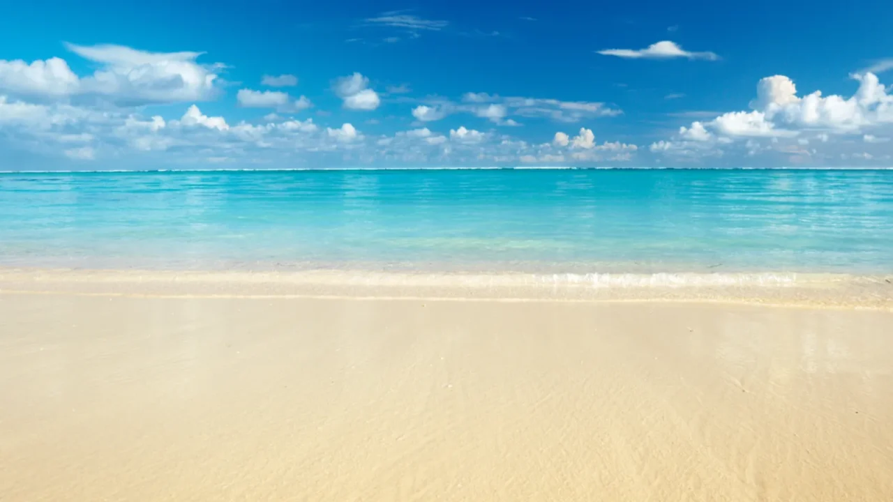 sand of beach caribbean sea