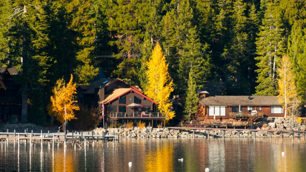 trees at the lakeside