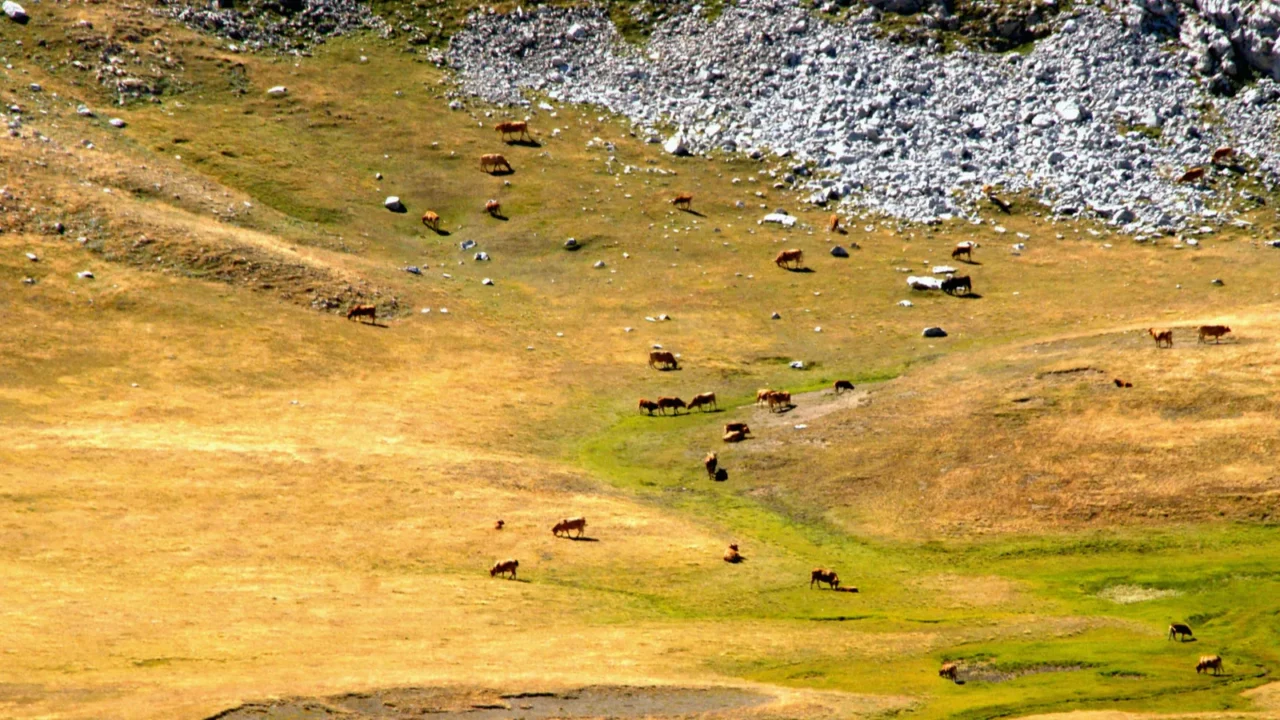vega de liordes a hikers paradise in picos de europa