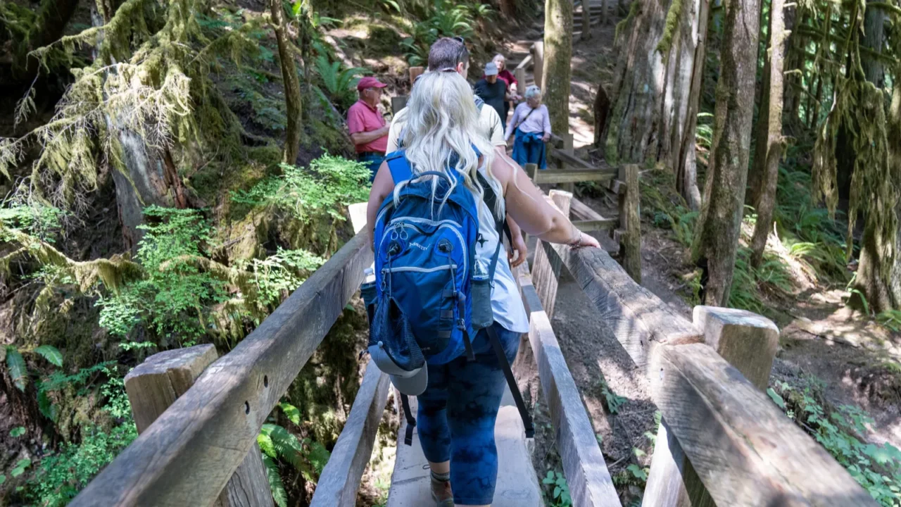 washington usa  july 9 2021 very crowded hiking trail