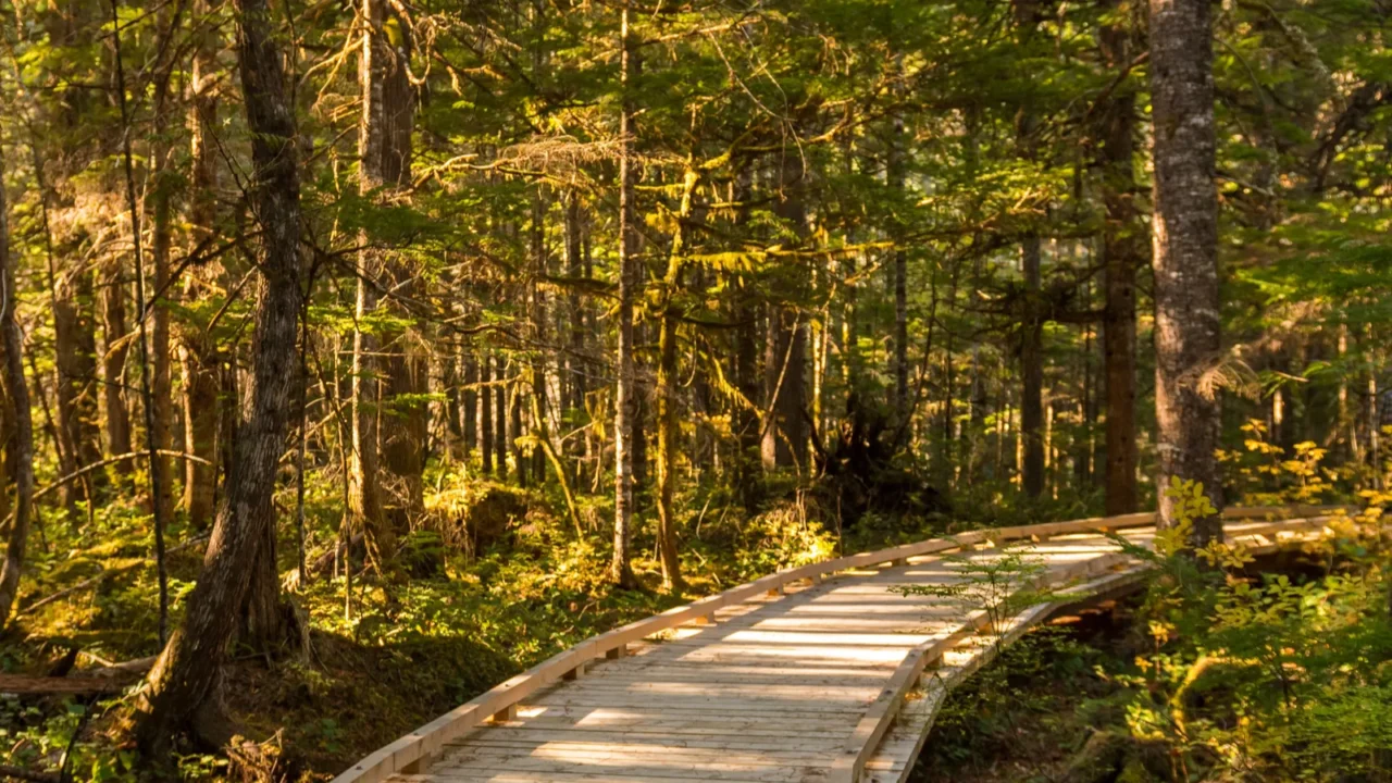 wooden trail next to the visitor center of north cascades