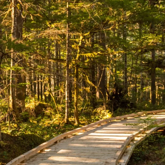 Activities That Are illegal in US National Parks