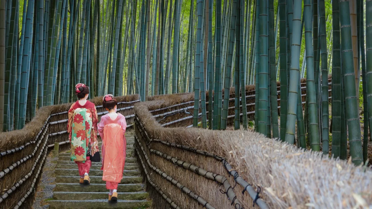 young japanese geisha strolls by the bamboo grove at adashino