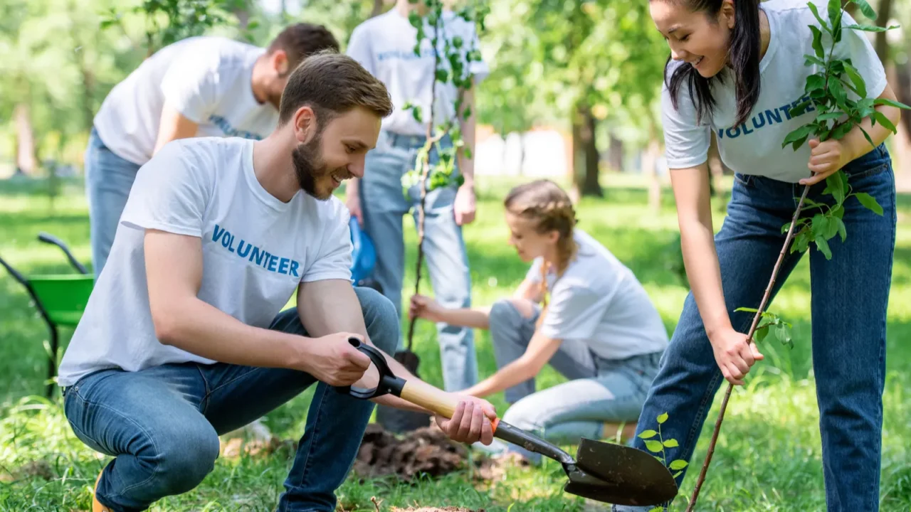 young volunteers planting trees in green park together