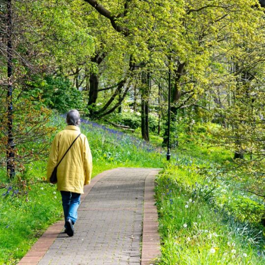 12 best things to do in Bangor Maine for a low stress nature break