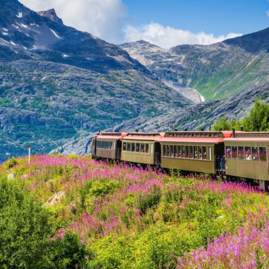 What Alaska’s longer summer means for choosing cruises vs. land trips