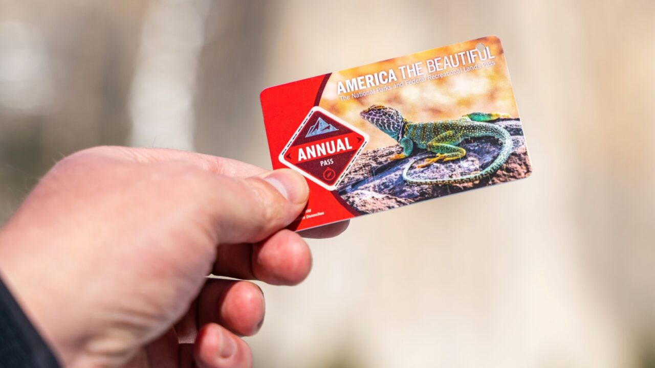 Yosemite Valley, CA 95389, USA - January 14, 2024: A man holds an annual pass against the backdrop of nature. "America the Beautiful" National Park Pass