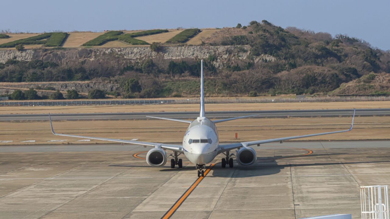 Midday Flight Over the Bay