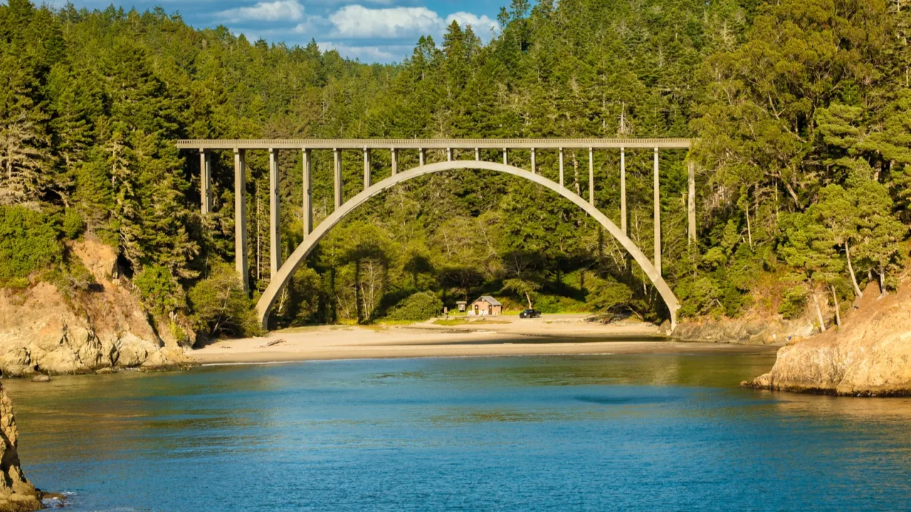 bridge cliffs and redwood forest in mendocino california